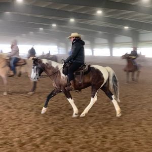 Meet your Posher, Susan